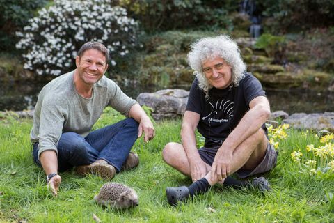 Steve Backshall, Brian May, Αποθήκευση σκαντζόχοιρων της Βρετανίας