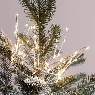 Φωτίστε το χριστουγεννιάτικο δέντρο με στέμμα