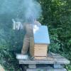 Πώς μπορείτε να φτιάξετε τη δική σας φάρμα μελισσών, ακριβώς όπως η Μπιγιονσέ