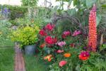 8 καλύτερες εγκαταστάσεις ανθοφορίας για μια πολύχρωμη οθόνη κήπου