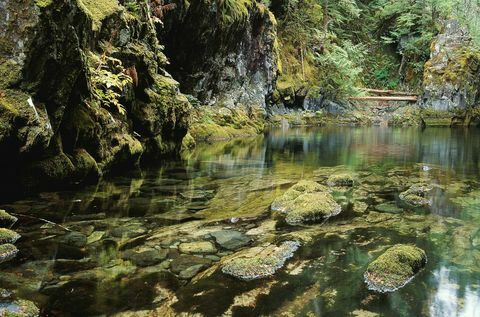 opal Creek Oregon το πιο άσχημο χρώμα του κόσμου