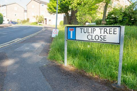 Tonbridge - Tulip Tree Κλείσιμο - Royal Mail