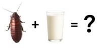 Υγιεινή και ομορφιά οφέλους γάλακτος