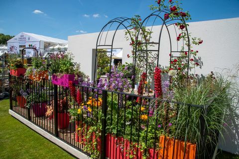 Έκθεση λουλουδιών τσέλσι 2022 στον κήπο με μπαλκόνι