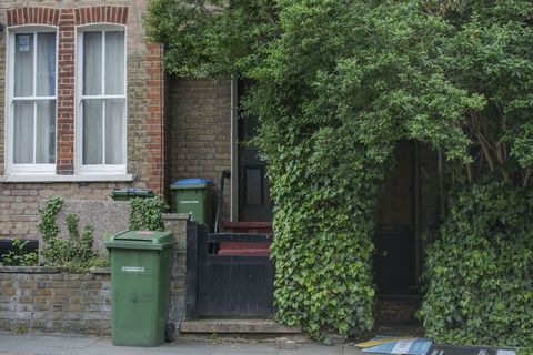 Το σπίτι στο Λονδίνο καλύπτεται από δέντρα