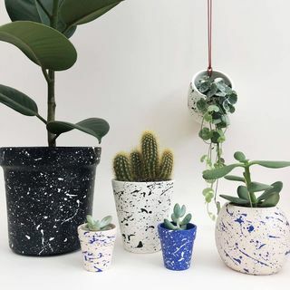 Mini Splatter Plant Pots Επιλέξτε τα χρώματα σας