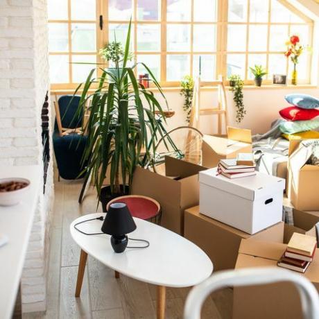 συσκευασμένα κουτιά από χαρτόνι σε διαμέρισμα, σκάλα, φυτά και άλλα αντικείμενα