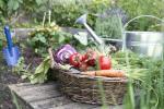 5 τσιμπήματα κήπου που θα βελτιώσουν την ψυχική σας υγεία και ευημερία