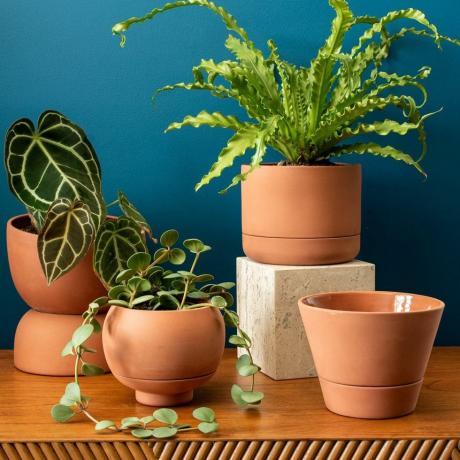 Franklin Self Watering Planter Pot