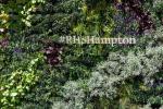 Οι υπόλοιπες εκπομπές λουλουδιών RHS ακυρώθηκαν για το 2020, συμπεριλαμβανομένου του Hampton