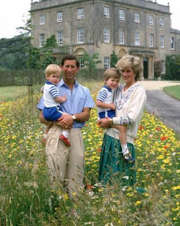 Τέτμπουρυ, Αγγλία 14 Ιουλίου, ο πρίγκιπας Κάρολος, ο πρίγκιπας της Ουαλίας και η Νταϊάνα, η πριγκίπισσα της Ουαλίας ποζάρουν με τους γιους τους, πρίγκιπα Γουίλιαμ και Ο πρίγκιπας Χάρι στο λιβάδι με άγρια ​​λουλούδια στο Highgrove στις 14 Ιουλίου 1986 στο Τέτμπουρυ της Αγγλίας φωτογραφία από τη βιβλιοθήκη φωτογραφιών tim Graham μέσω Getty εικόνες