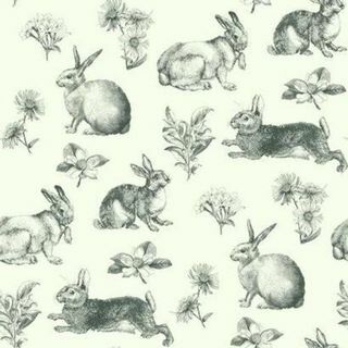 Ταπετσαρία εμπνευσμένη από το χρώμα Bunny Toile At4263