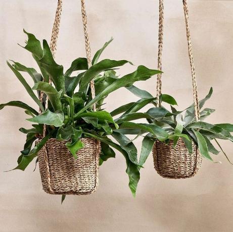 Sangdi Seagrass Hanging Planter