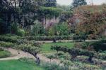 Τα μυστικά του κήπου του Bunny Mellon: Τα πιο πολύτιμα μαθήματα από έναν από τους πιο διάσημους κηπουρούς της ιστορίας