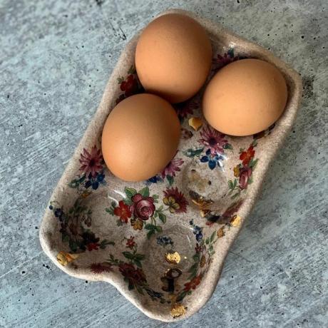 Δίσκος αυγών