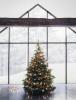 Εργαστήριο διακοπών Νέα Υόρκη Χριστουγεννιάτικο δέντρο