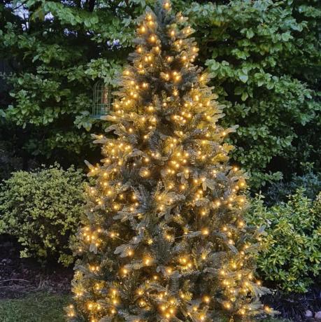 Το 6 ποδιών προφωτισμένο Outdoor Woodland Pine Tree