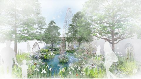 Guangzhou Κίνα: Κήπος Guangzhou, Τσέλσι λουλούδι δείχνουν 2020 - δείχνουν κήπους