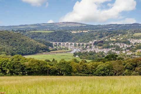 Rumleigh House - Yelverton - Devon - οδογέφυρα - Strutt και Parker