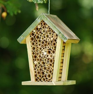 Κουτί μελισσών με στέγη ψευδάργυρου