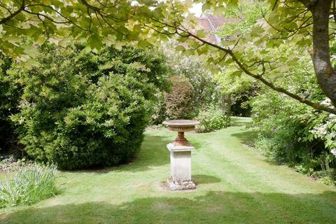 Έπαυλη στην Ύπαιθρο - Βίλντσαϊρ - Vivien Leigh - κήπος / πάρκο - Savills
