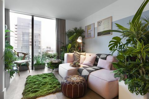 houseplant-hotel-leman-locke-east-london