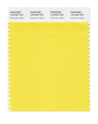 Έκθεση χρώματος μόδας Pantone - άνοιξη 2017 - Primose κίτρινο