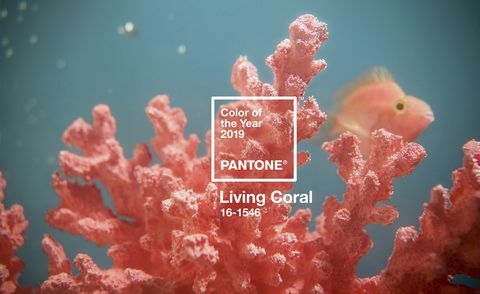 Χρώμα της χρονιάς Pantone 2019 - Living Coral