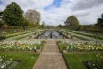 Ο κήπος Memorial του Πριγκίπισσα Ντιάνα γεμίζει με τα πιο εκπληκτικά λευκά λουλούδια