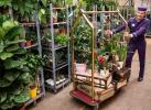 Το Patch ανοίγει το πρώτο ξενοδοχείο παγκοσμίως για τα φυτά στη Battersea του Λονδίνου