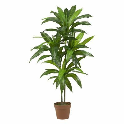 Real Touch 48 ίντσες. H Green Dracaena Silk Plant