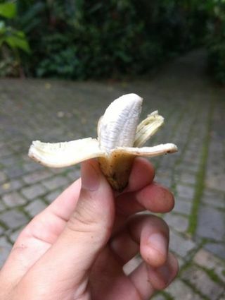 μικροσκοπική μπανάνα