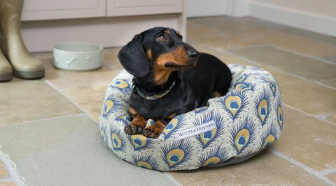 M & H Donut Dog Bed, Peacock Print