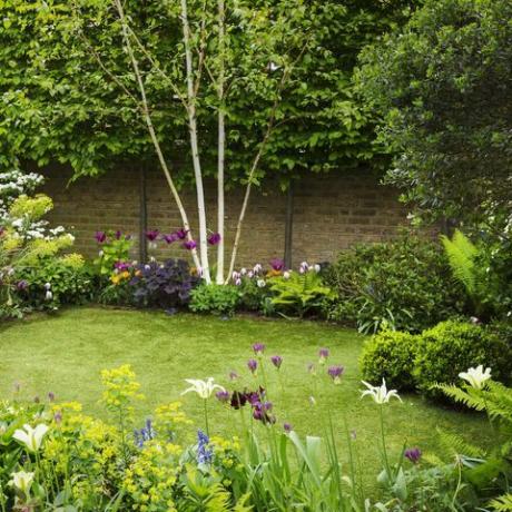 πώς να σχεδιάσετε έναν προσβάσιμο κήπο, σύμφωνα με το παγκόσμιο σήμα της κηπουρικής