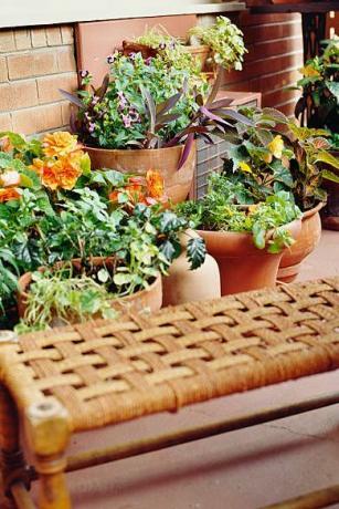 μπαλκόνι με φυτά εσωτερικού χώρου