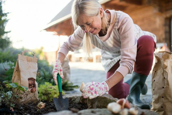 ανώτερη γυναίκα που φυτεύει βολβούς σε εξωτερικούς χώρους στον φθινοπωρινό κήπο, έννοια κηπουρικής