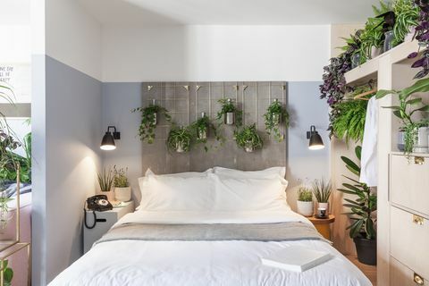 houseplant-hotel-leman-locke-east-london