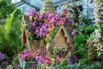 Kew Gardens Orchid Festival 2019 Πληροφορίες για τις ημερομηνίες και τα εισιτήρια