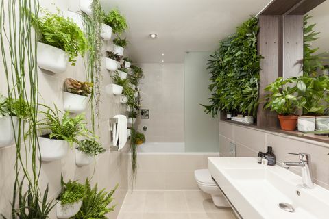 houseplant-hotel-leman-locke-east-london