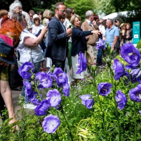 πλήθος επισκεπτών παρακολουθούν σχέδια κήπων στην έκθεση λουλουδιών rhs chelsea στο Λονδίνο, Αγγλία στις 22 Μαΐου 2019 φωτογραφία από dominika zarzyckanurphoto