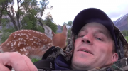 Ο άνθρωπος σώζει Βίντεο Deer Βίντεο