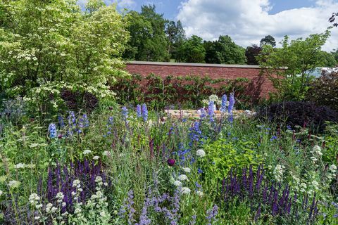 Ο κήπος Wedgwood. Σχεδίασε: ο Jamie Butterworth. Χορηγείται από: Wedgwood. Εμφάνιση Κήπου. RHS Chatsworth Flower Show 2019.