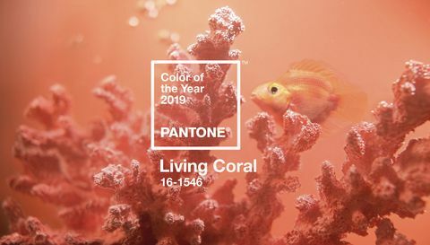 Χρώμα της χρονιάς Pantone 2019 - Living Coral