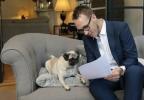 Ο κτηματομεσίτης Emoov προσφέρει ειδικές προβολές σπιτιών για σκύλους