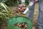 5 τρόποι να βάλει φθινοπωρινά φύλλα για να δουλέψει στον κήπο σας