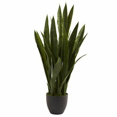 Τεχνητή Sansevieria με μαύρο Γλάστρα