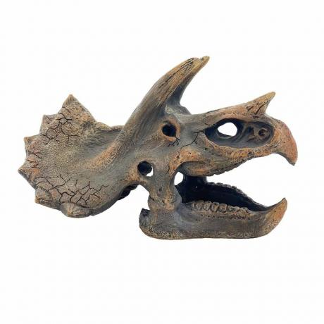 Επιτραπέζια διακόσμηση Dino Fossil 