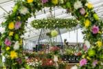 Tatton Park Flower Show 2019: Ουράνιο τόξο των 5.000 Ντάλια στην οθόνη