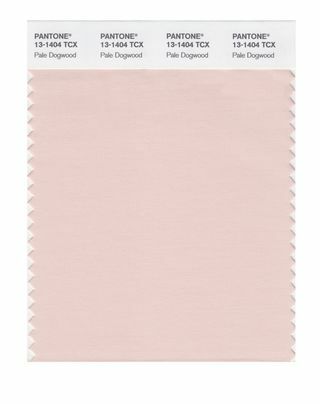 Έκθεση χρώματος μόδας Pantone - Άνοιξη 2017 - Παλιό Dogwood