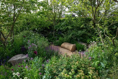 το place2be που εξασφαλίζει τον αυριανό κήπο σχεδιασμένο από τον Jamie Butterworth rhs chelsea flower show 2022